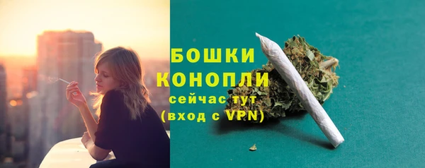 ешки Арсеньев