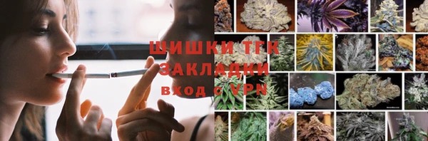 дмт Дубовка